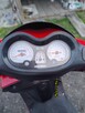 Sharpy 50cm 2t super stan! - 1