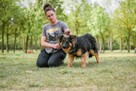 Cykor-nieśmiały delikatny młody pies do adopcji - 7