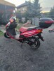 Sharpy 50cm 2t super stan! - 2
