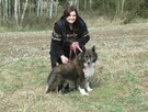 Spokojny ERWIN w typie border collie szuka domu !! - 6