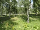 TEREN USŁUG HOTELOWYCH I TURYSTYCZNYCH - 5