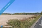 Działka o pow. do 3500 m² w powiecie ostrowskim (Rososzyca) - 2