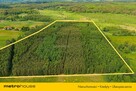 Las inwestycyjny 9,5 ha  770 m³ drewna - 2