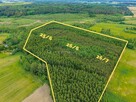 Las inwestycyjny 9,5 ha  770 m³ drewna - 4