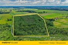 Las inwestycyjny 9,5 ha  770 m³ drewna - 5