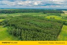 Las inwestycyjny 9,5 ha  770 m³ drewna - 10