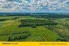 Las inwestycyjny 9,5 ha  770 m³ drewna - 11