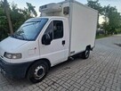 Citroën jumper 2.5d chłodnia izoterma kontener agregat 230V - 6