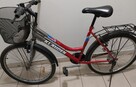 Rower Klauden Triumph GR560 - 4