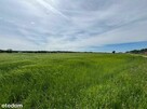 Rezerwacja/Siedlisko pod lasem, 4,81 ha, Puszcza Biała - 2