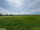 Rezerwacja/Siedlisko pod lasem, 4,81 ha, Puszcza Biała - 6