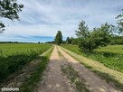 Rezerwacja/Siedlisko pod lasem, 4,81 ha, Puszcza Biała - 4