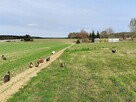 Działka Rzepniki z możliwością zabudowy - 2