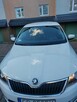 skoda rapid - 1