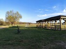 IZBISZCZE WYJĄTKOWA DZIAŁKA NAD NARWIĄ –INWESTYCJA W NATURĘ - 8
