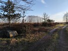 IZBISZCZE WYJĄTKOWA DZIAŁKA NAD NARWIĄ –INWESTYCJA W NATURĘ - 13