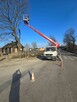 Wycinki drzew Pielęgnacja Zieleni Alpinista - 4