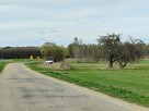 Działka Rzepniki z możliwością zabudowy - 3