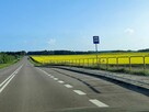 Działka Hermanówka blisko natury! - 13