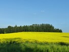 Działka Hermanówka blisko natury! - 3