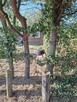 Sprzedam dzialke ROD - 4