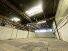 Produkcja,parking, parter , ochrona , dostęp24h - 14