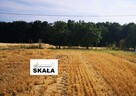 Działka budowlana Czaple Wielkie gm. Gołcza - 2
