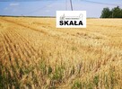 Działka budowlana Czaple Wielkie gm. Gołcza - 3