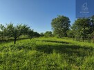 Działka rolno-budowlana Szczepanowice gm. Pleśna - 3