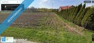 Działka budowlana Parcele Kożuszki ul. Trojanowska - 3