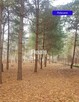 Piękna działka pod 2 bliźniaki w Komorowie - 4