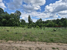 Działka budowlana Adamów-Wieś gm. Radziejowice, - 3