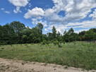 Działka budowlana Adamów-Wieś gm. Radziejowice, - 6