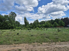 Działka budowlana Adamów-Wieś gm. Radziejowice, - 11