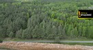 Działka leśna Świdno gm. Krasocin Porąbki, - 5