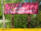 Dom w lesie blisko jeziora w Parku Krajobrazowym - 14