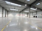 HALA PRODUKCJA 2500 M2 DOKI, BRAMY "0" Rybitwy