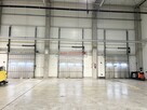 HALA PRODUKCJA 2500 M2 DOKI, BRAMY "0" Rybitwy - 7