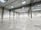 HALA PRODUKCJA 2500 M2 DOKI, BRAMY "0" Rybitwy - 8