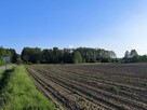 Działka Hermanówka blisko natury! - 8