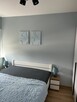 Mieszkanie do wynajecia 47m2 - 9