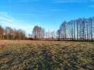 IZBISZCZE WYJĄTKOWA DZIAŁKA NAD NARWIĄ –INWESTYCJA W NATURĘ - 14