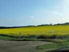Działka Hermanówka blisko natury! - 6