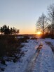 IZBISZCZE WYJĄTKOWA DZIAŁKA NAD NARWIĄ –INWESTYCJA W NATURĘ - 4