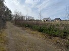 SKRYBICZE - HIT DLA KONESERÓW CISZY, NATURY I PRESTIŻU - 13
