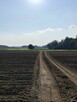 Działka Hermanówka blisko natury! - 12