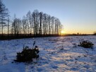 IZBISZCZE WYJĄTKOWA DZIAŁKA NAD NARWIĄ –INWESTYCJA W NATURĘ - 5