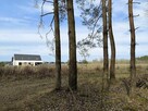 SKRYBICZE - HIT DLA KONESERÓW CISZY, NATURY I PRESTIŻU - 8