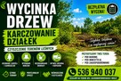 Wycinka Drzew | Karczowanie | Czyszczenie Działek i Terenów