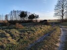 IZBISZCZE WYJĄTKOWA DZIAŁKA NAD NARWIĄ –INWESTYCJA W NATURĘ - 12